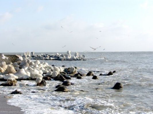 DOBROGEA: Prognoza meteo pentru 3 zile